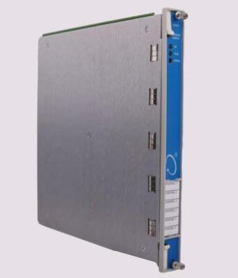 ベンリーネバダ 3500/61 133811-02 温度モジュール